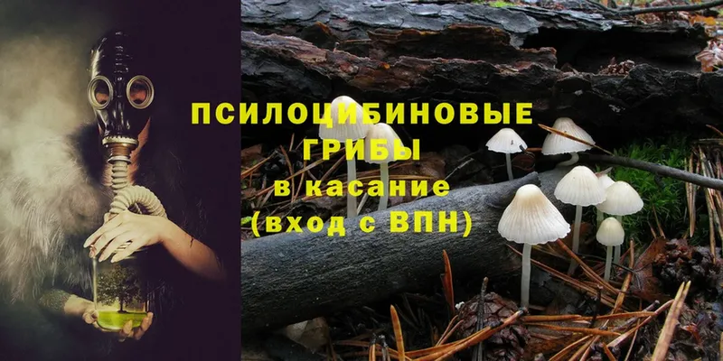 сколько стоит  Электросталь  Галлюциногенные грибы Magic Shrooms 